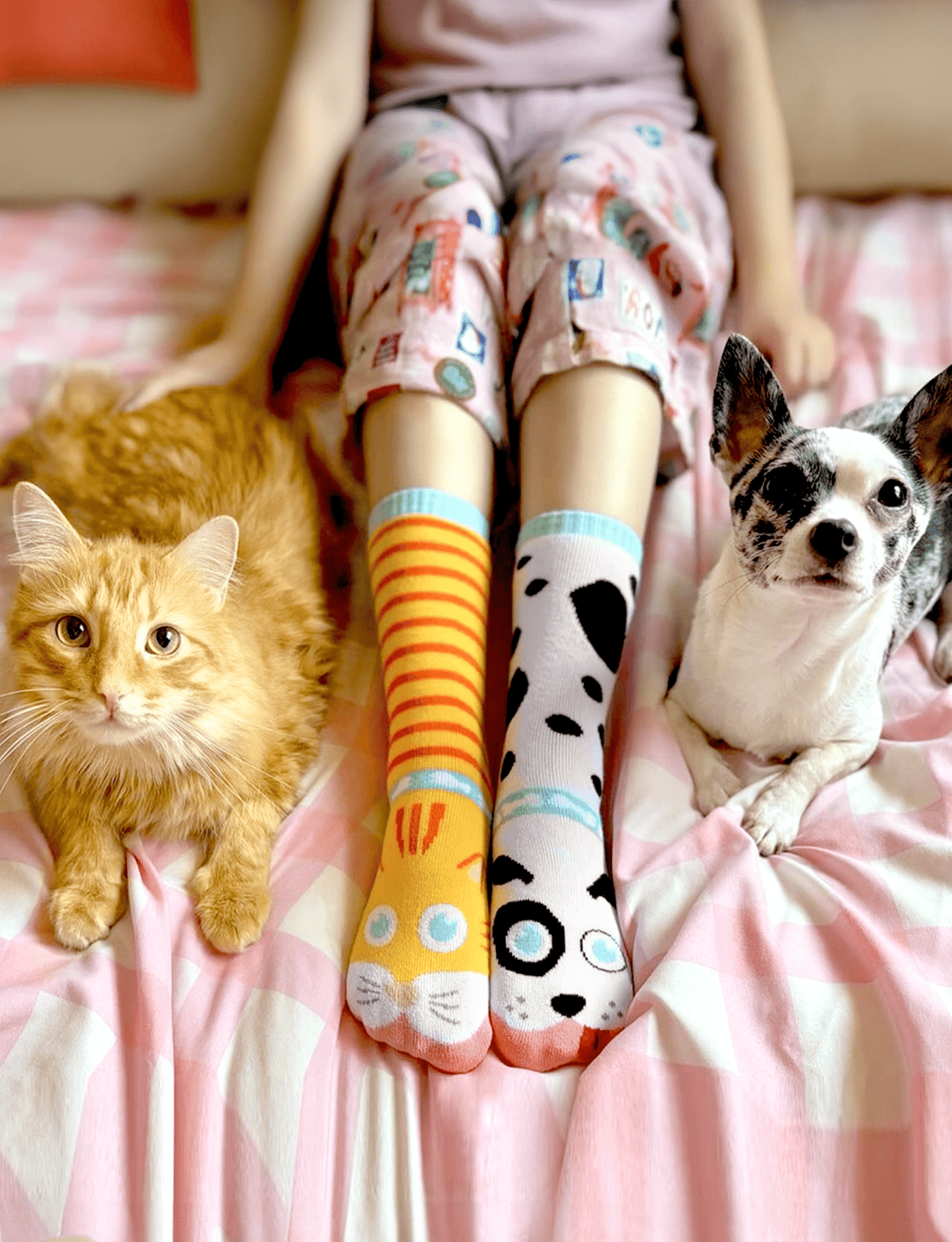 ADULT CAT & DOG SOCKS - Regalia Cloth